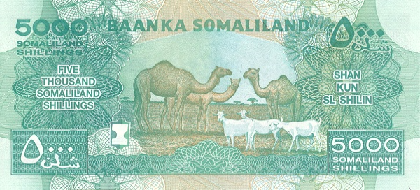 P21d Somaliland - 5000 Shillings 2016